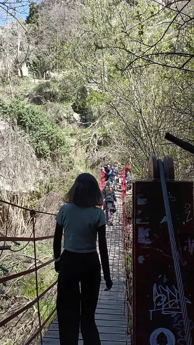 Talleres terapéuticos y actividades