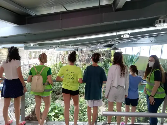 Talleres terapéuticos y actividades