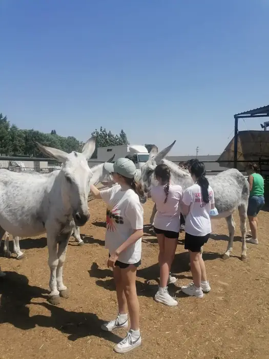 Talleres terapéuticos y actividades