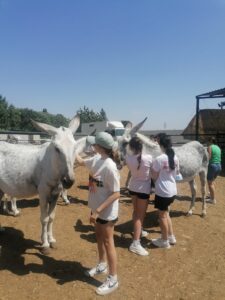 356933111_649642663863781_3249331571582775471_n