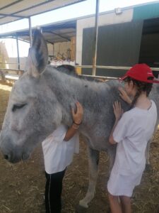 356988963_649642700530444_2850105394030160673_n